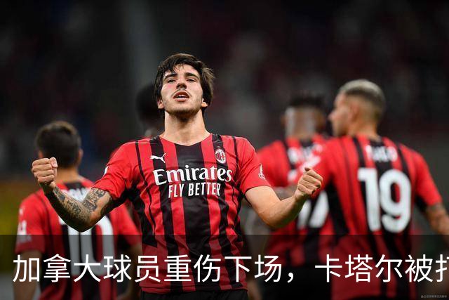 加拿大球员重伤下场，卡塔尔被打爆，“输球又输人”