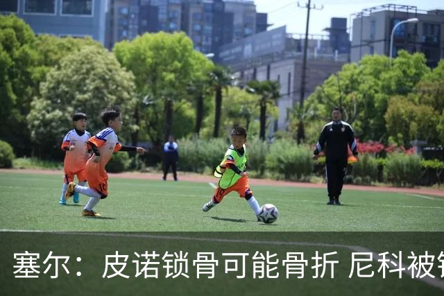 塞尔：皮诺锁骨可能骨折 尼科被铲伤可能提前结束世界杯之旅