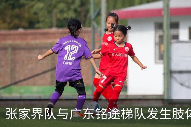 张家界队与广东铭途梯队发生肢体冲突，湖南省足协：暂停涉事人员参加省内一切足球活动