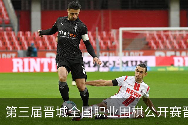 第三届晋城全国职业围棋公开赛晋城开幕