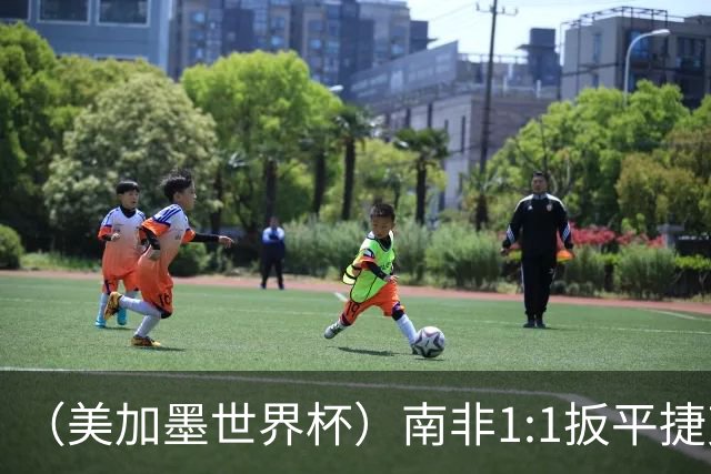 （美加墨世界杯）南非1:1扳平捷克 瑞士4:1战胜十人波黑